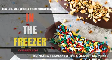 Chill Treats: The Ultimate Guide to Freezing Chocolate-Covered Bananas