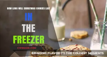 Festive Treats: The Ultimate Guide to Freezing Christmas Cookies