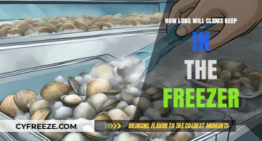 Freshness Frozen: The Ultimate Guide to Storing Clams