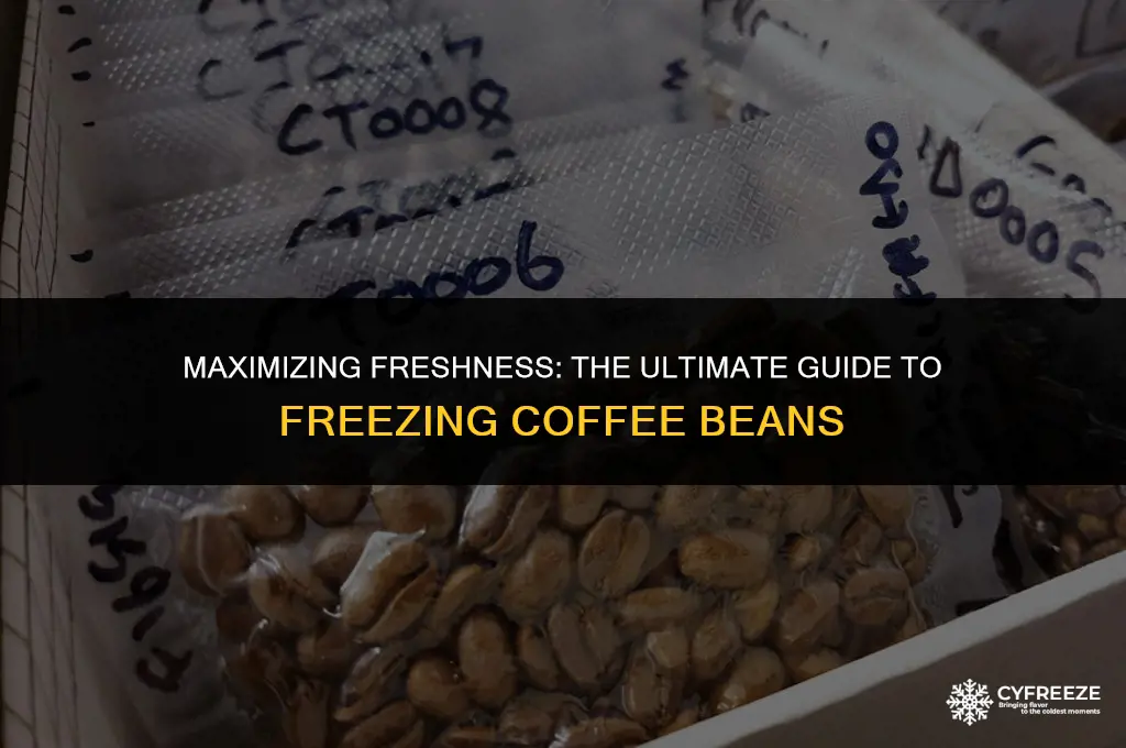 how long will coffe beans last in the freezer