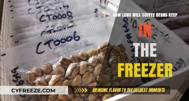 Maximizing Freshness: The Ultimate Guide to Freezing Coffee Beans