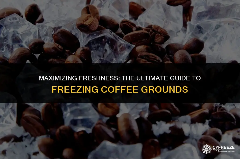 how long will coffee grounds last in the freezer