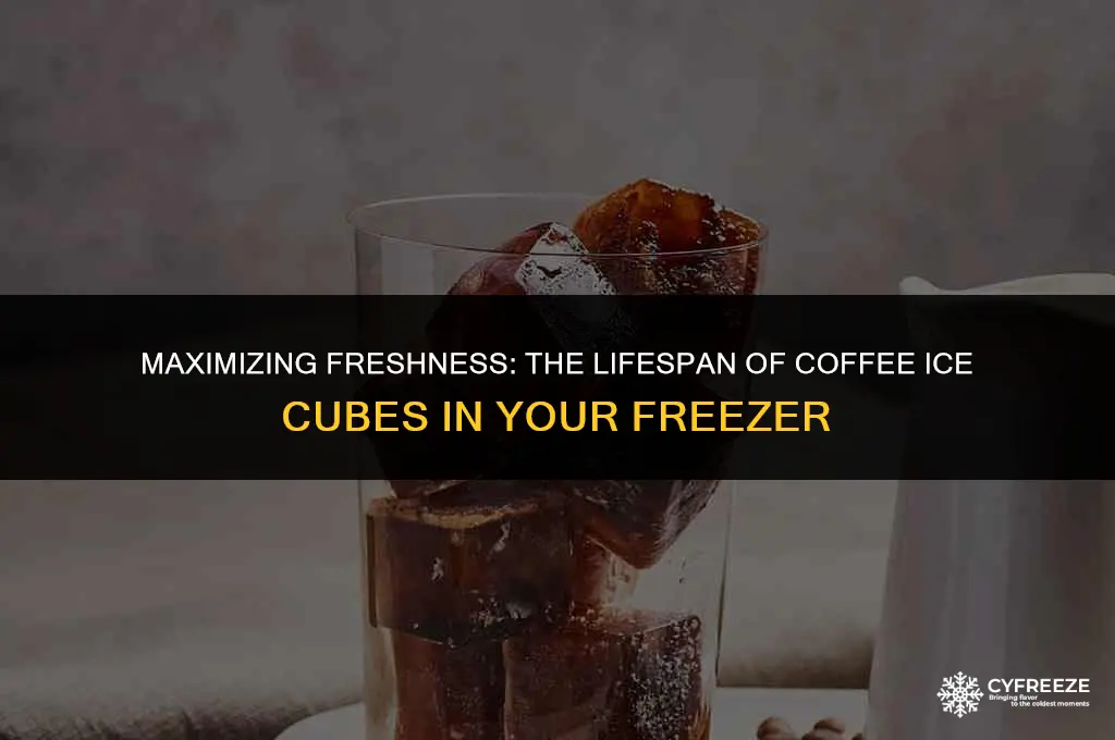 how long will coffee ice cubes last in freezer