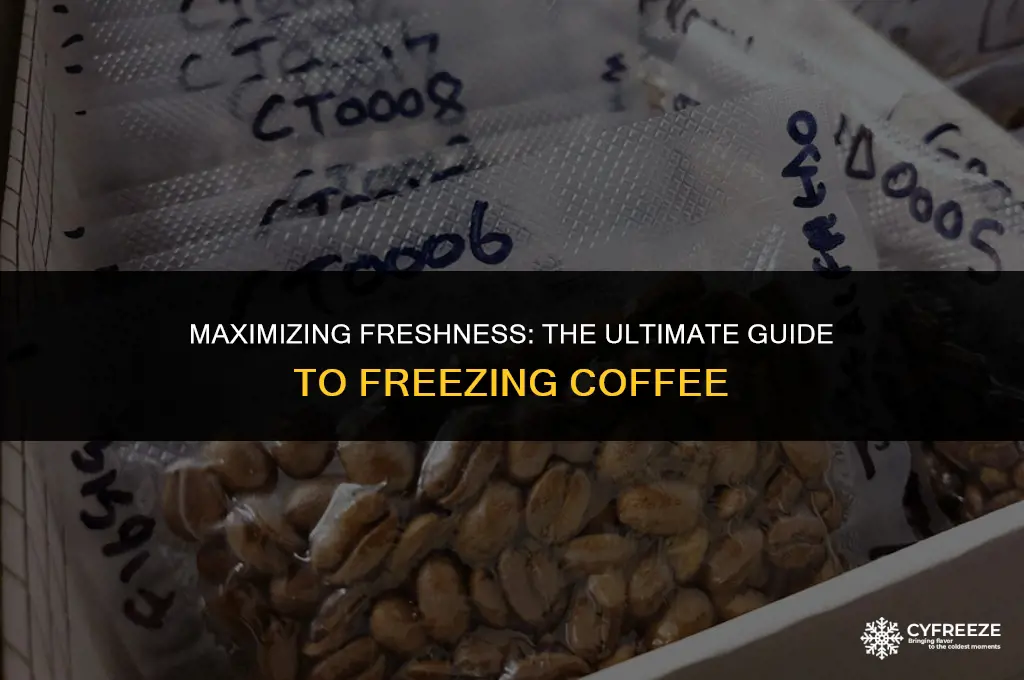 how long will coffee stay fresh in the freezer