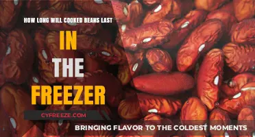 Maximizing Shelf Life: A Guide to Freezing Cooked Beans