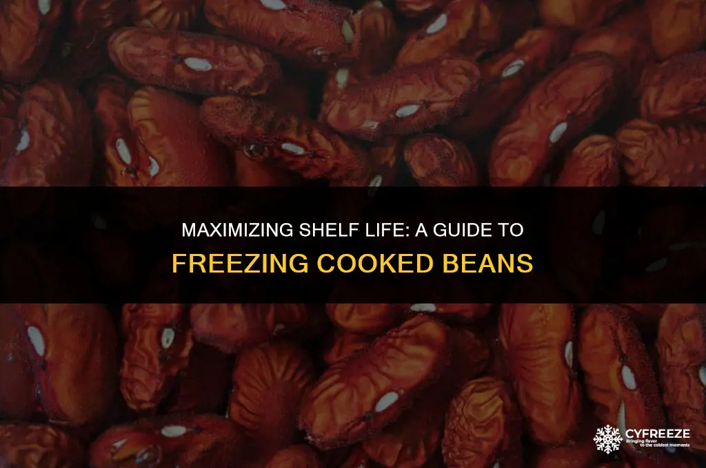 how long will cooked beans last in the freezer