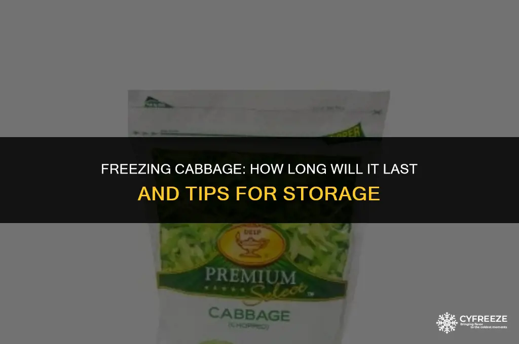 how long will cooked cabbage last in the freezer