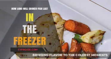 Freshness Frozen: The Ultimate Guide to Storing Cooked Fish