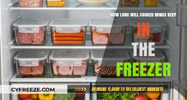 Freshness Frozen: The Ultimate Guide to Storing Cooked Mince