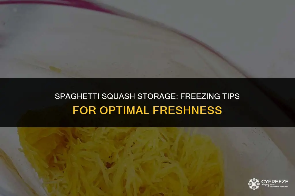 how long will cooked spaghetti squash keep in the freezer