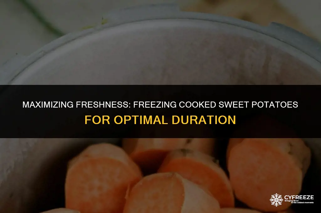 how long will cooked sweet potatoes last in the freezer