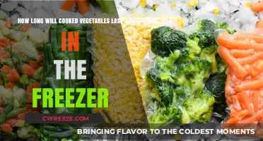 Maximizing Freshness: A Guide to Freezing Cooked Vegetables