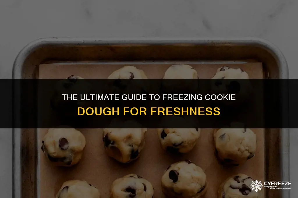 how long will cookie dough last in the freezer