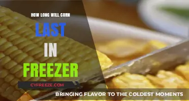 Maximizing Corn's Shelf Life: A Guide to Freezing Techniques