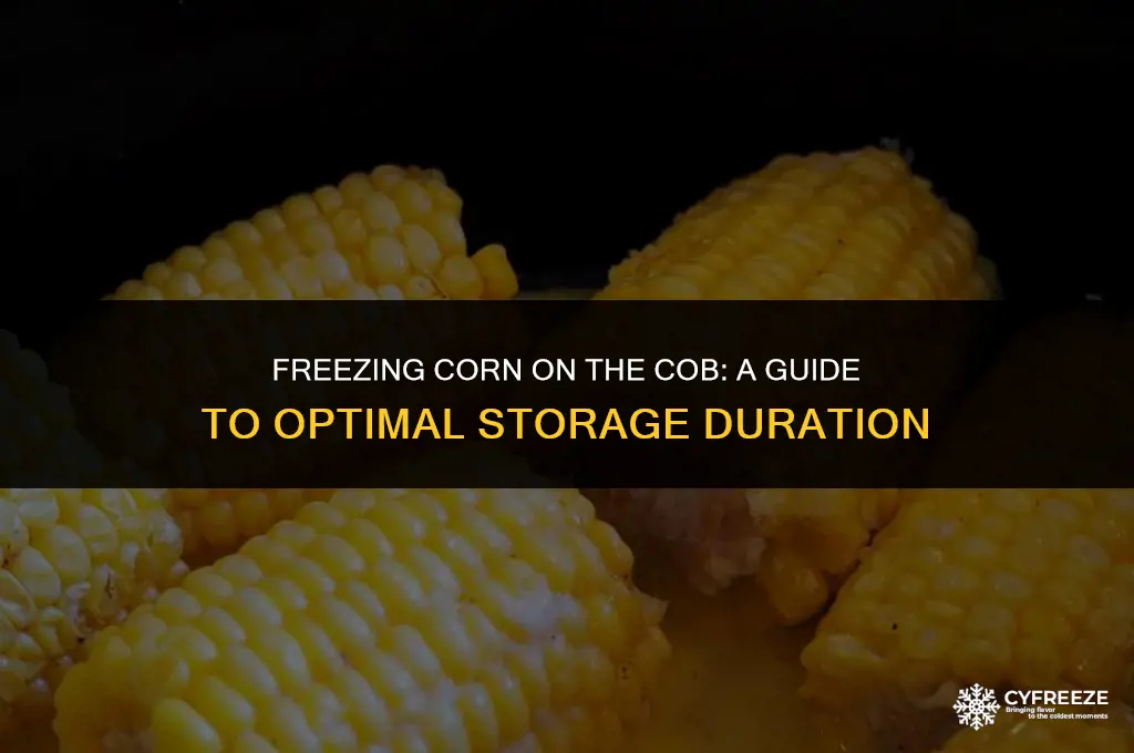 how long will corn on cob keep in the freezer