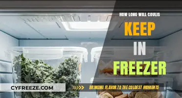 Maximizing Freshness: The Ultimate Guide to Freezing Coulis