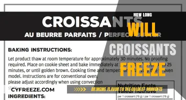 The Ultimate Guide to Freezing Croissants for Freshness