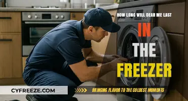 Dear Me: A Guide to Freezer Lifespan and Storage Tips