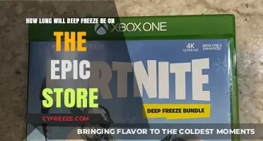 Deep Freeze on Epic Store: Duration and Impact on Gamers