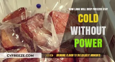 Deep Freeze: How Long Will Your Deep Freezer Stay Cold Without Power?