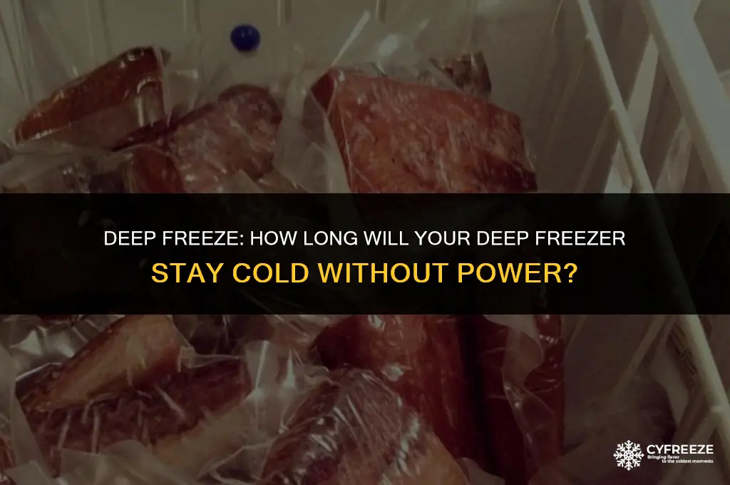 how long will deep freezer stay cold without power