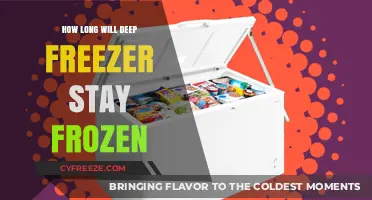 Deep Freeze: How Long Will Your Food Stay Frozen?