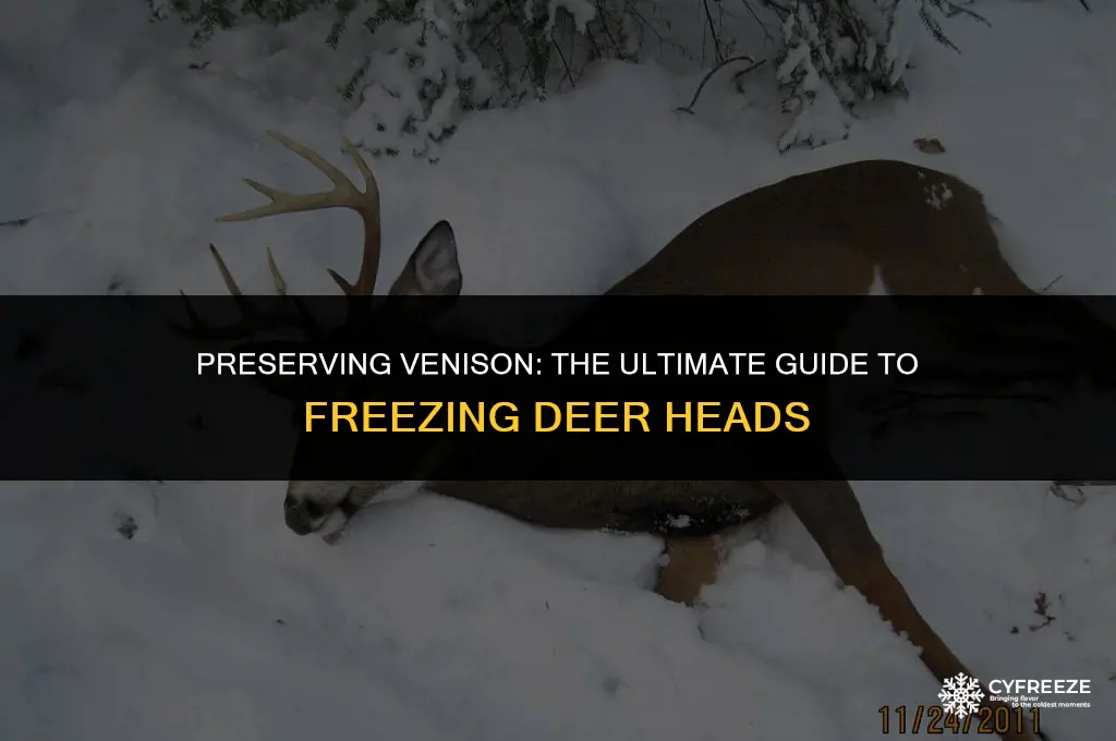 how long will deer head last in deep freeze