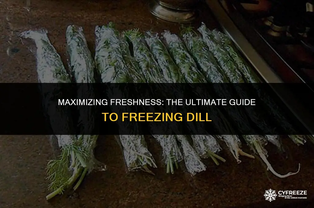 how long will dill keep in freezer
