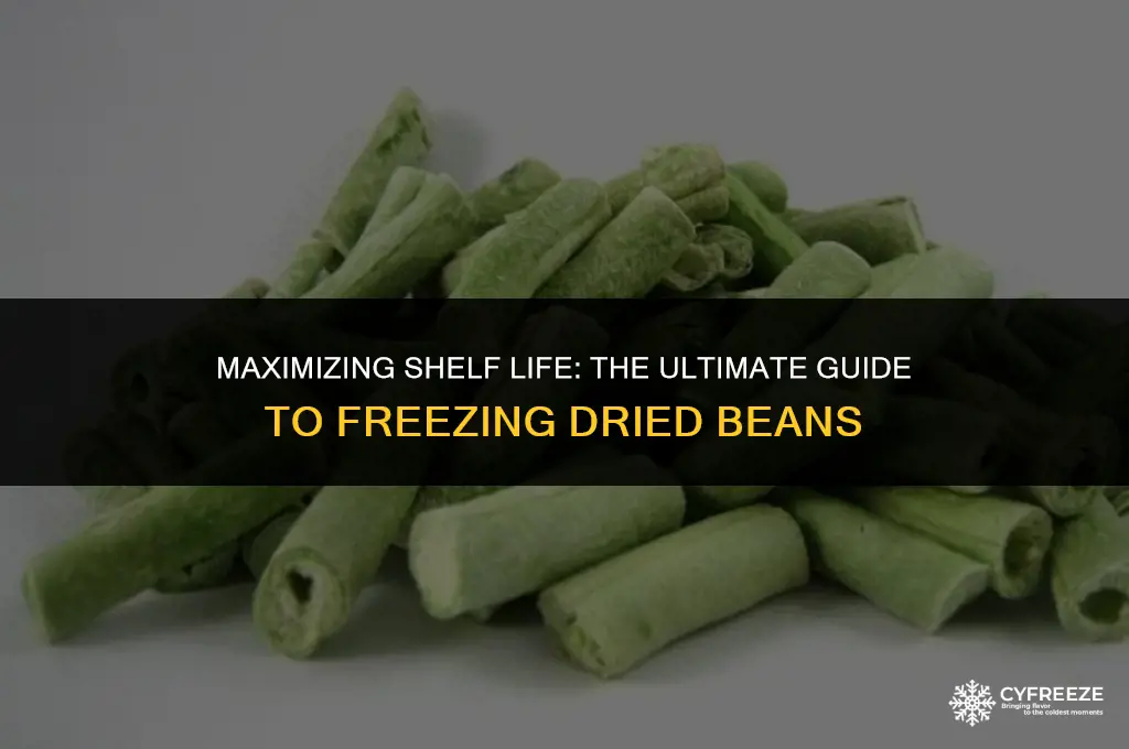 how long will dried beans last in the freezer