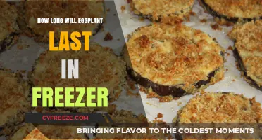 Preserving Purple Perfection: Freezing Eggplant for Future Feasts