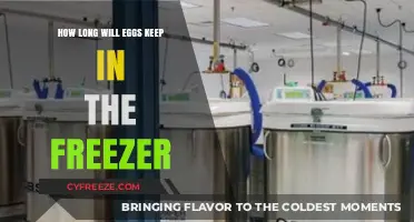 Egg-cellent Storage: Freezing Eggs for Long-Term Freshness