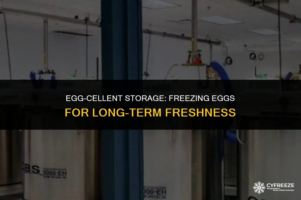 how long will eggs keep in the freezer