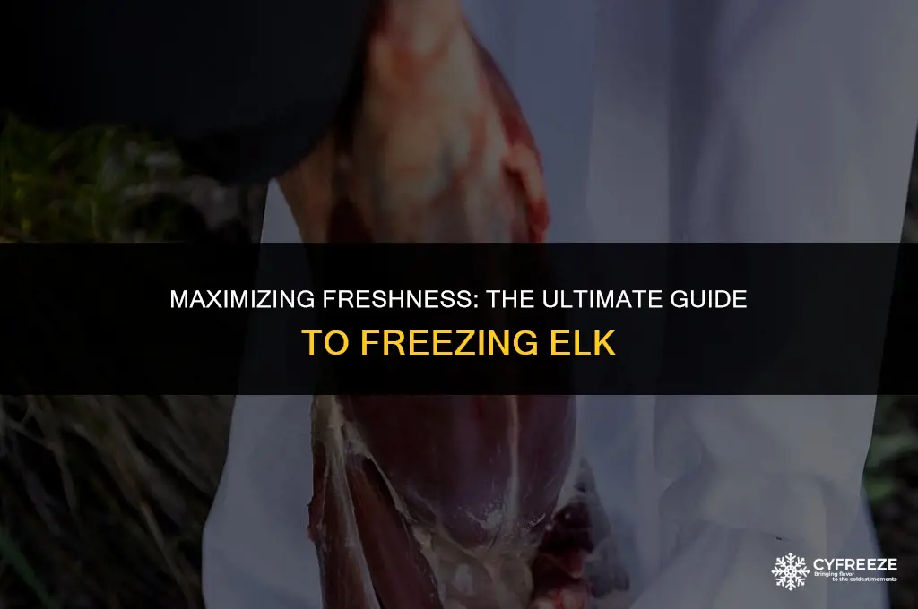 how long will elk last in the freezer