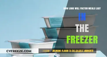 Maximizing Shelf Life: A Guide to Freezing Factor Meals