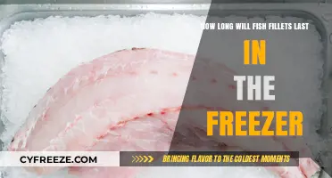 Freshness Frozen: The Ultimate Guide to Fish Fillet Storage