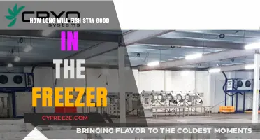 Freshness Frozen: The Ultimate Guide to Fish Storage