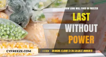 Preserving Your Pantry: Freezer Food Lifespan During Power Outages