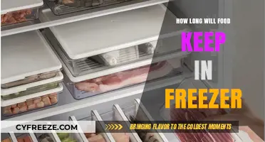 Freshness Preserved: A Guide to Freezer Food Storage Duration
