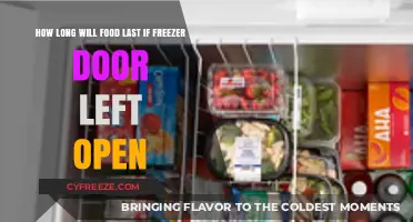 Consequences of an Open Freezer Door: Food Longevity Explained