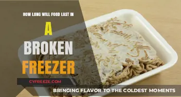 Food Storage Crisis: Survival Guide for a Broken Freezer
