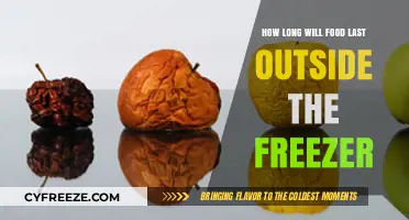 Maximizing Shelf Life: How Long Will Food Last Outside the Freezer?