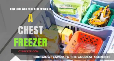Maximizing Food Preservation: A Guide to Chest Freezer Storage Times