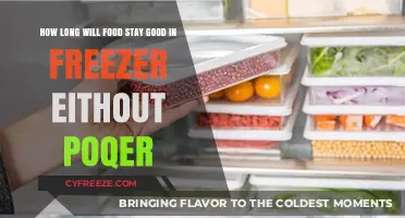 Food Storage Survival: Freezer Lifespan Without Power