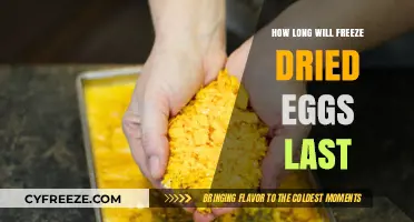 The Shelf Life of Freeze-Dried Eggs: A Comprehensive Guide