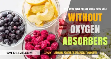 Preserving Freeze-Dried Food: A Guide to Longevity Without Oxygen Absorbers