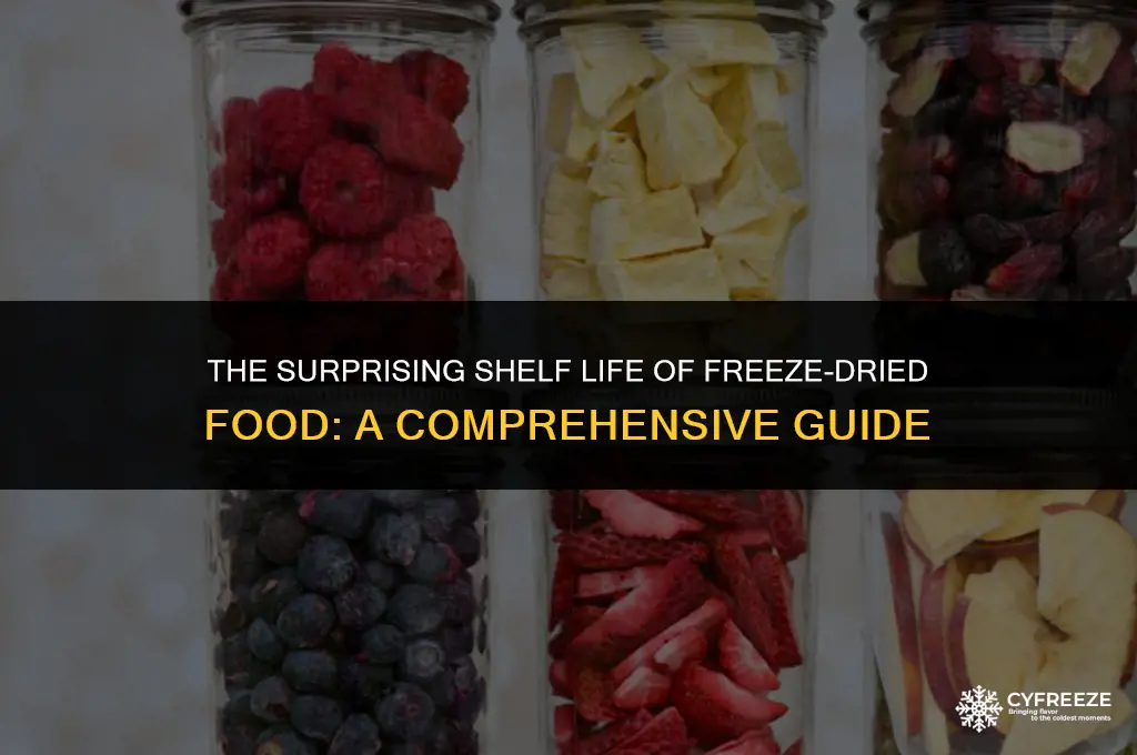 how long will freeze dried food last