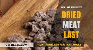 Preserving Perfection: The Shelf Life of Freeze-Dried Meat