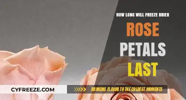 Eternal Beauty: The Longevity of Freeze-Dried Rose Petals