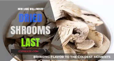 Preserving Psychedelic Potency: The Shelf Life of Freeze-Dried Shrooms