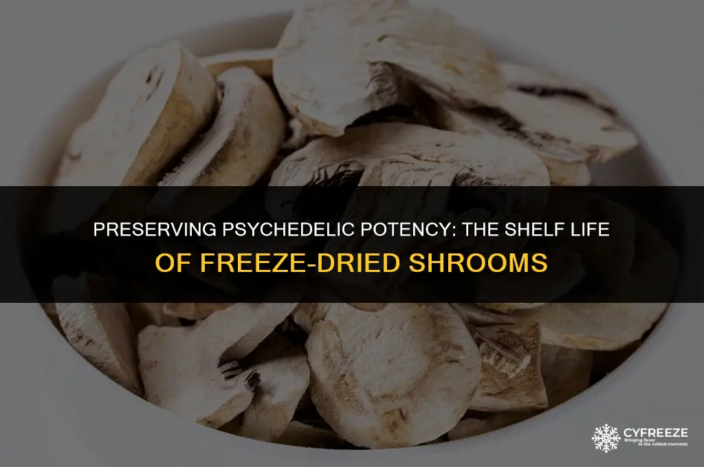 how long will freeze dried shrooms last